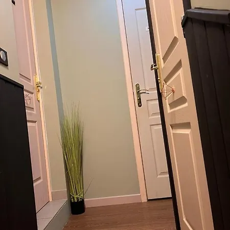 Justcozy Independante #2 * Lille