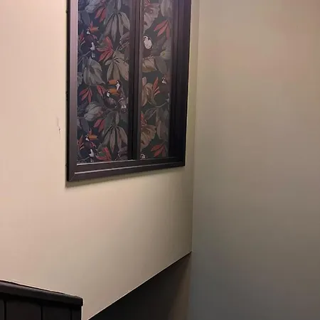 Justcozy Independante #2