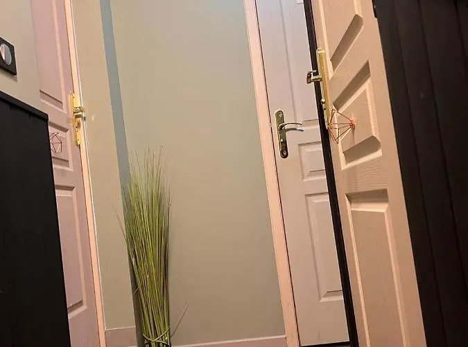 Justcozy Independante #2 * Lille